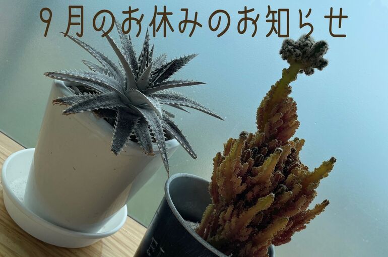 line_oa_chat_220820_143804
